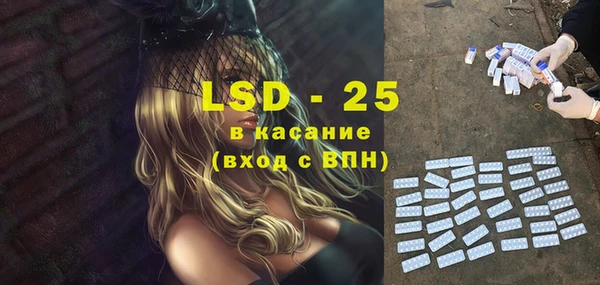 ECSTASY Бородино